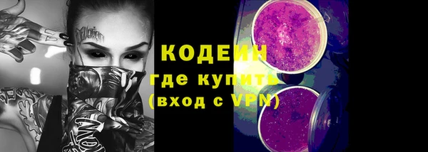 гашик Алексин