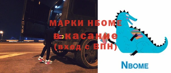 гашик Алексин