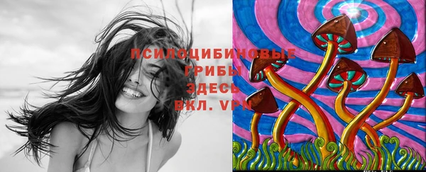 марки nbome Алзамай