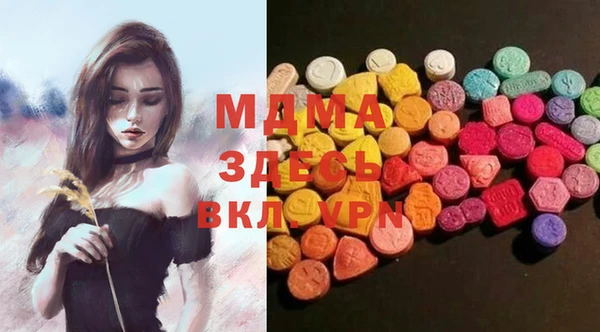 гашик Алексин