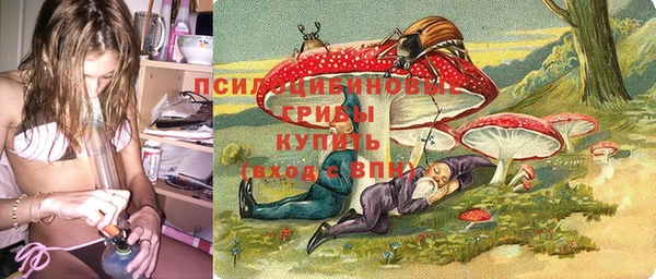 гашик Алексин