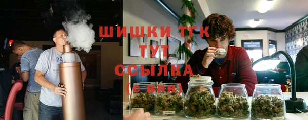 гашик Алексин