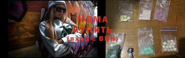 гашик Алексин